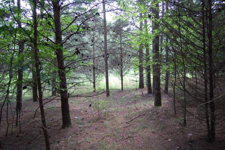 36 Stone Creek Trail, Dunlap, テネシー 37327, アメリカ合衆国