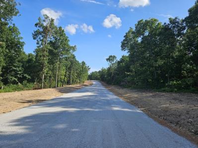 Lot 3 Deerwood Estates, Aurora, 密苏里州 65605, 美国