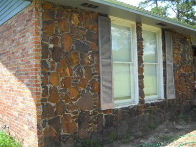 4515 County Road 11, Ariton, Alabama 36311, USA