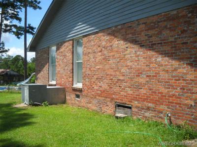 4515 County Road 11, Ariton, Alabama 36311, Estados Unidos