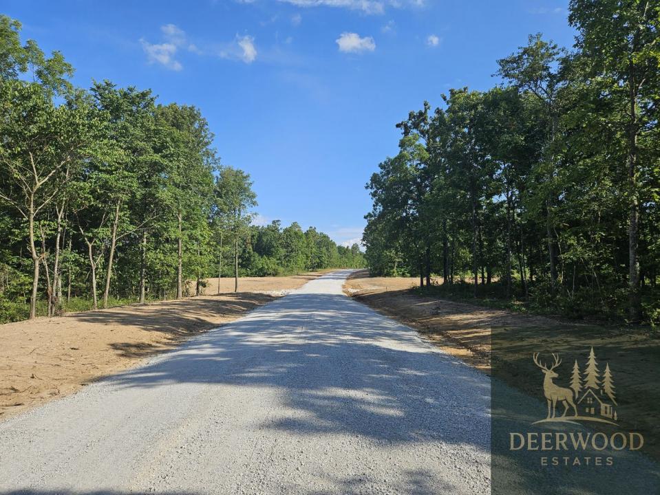 Lot 10 Deerwood Estates, Aurora, 密苏里州 65605, 美国