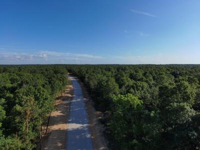 Lot 10 Deerwood Estates, Aurora, 密苏里州 65605, 美国