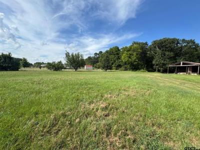 1743 Tan Oak Rd, Big Sandy, Texas 75755, HOA KỲ