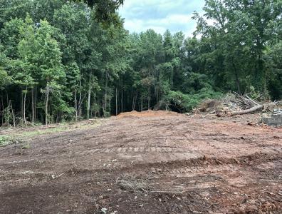 0 County Road 61, Roanoke, Alabama 36274, Estados Unidos