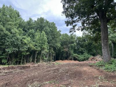 0 County Road 61, Roanoke, Alabama 36274, Estados Unidos