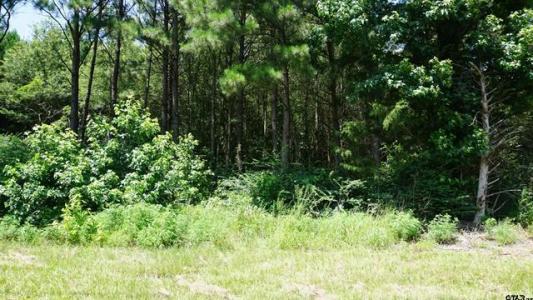 TBD Hwy 80, Hawkins, Texas 75765