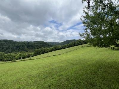 468 Spears Drive, Pennington Gap, Virginie 24277, États-Unis