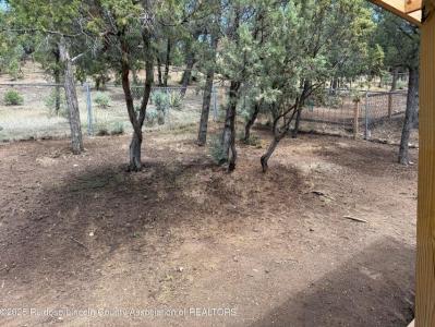 203 Jack Little Drive, Ruidoso, Nuevo México 88345, Estados Unidos