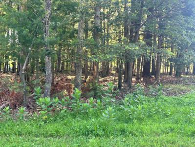 1 Indian Way, East Stroudsburg, Pensilvania 18302, Estados Unidos