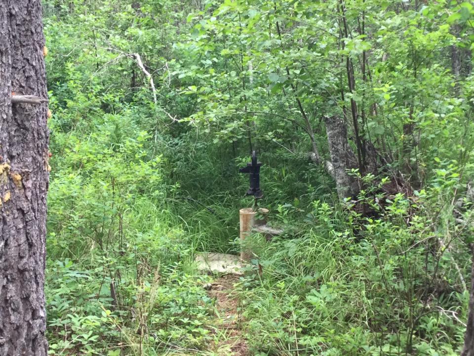 158 Dubius nCreek Rd, Priest River, アイダホ 83856, アメリカ合衆国
