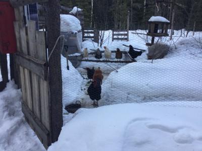 158 Dubius nCreek Rd, Priest River, アイダホ 83856, アメリカ合衆国