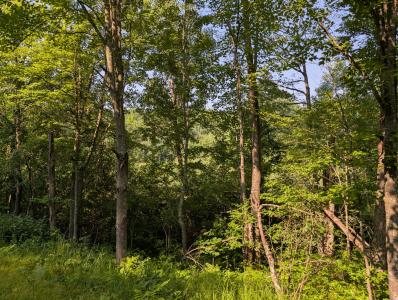xxx Dock Lake Rd, Rusk Township, Wisconsin 54801, USA