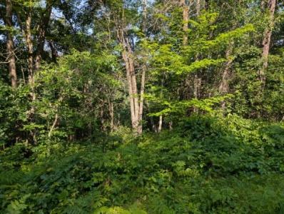 xxx Dock Lake Rd, Rusk Township, Wisconsin 54801