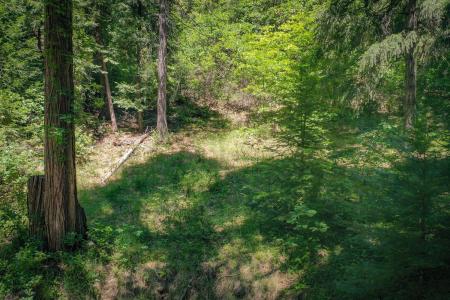15936 Buckeye Road, Nevada City, 加州 95959, 美國