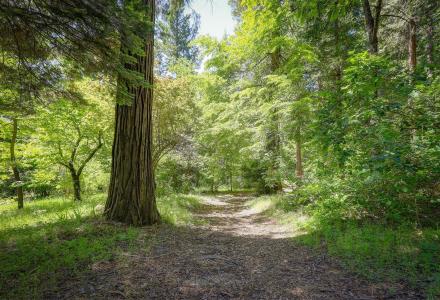 15936 Buckeye Road, Nevada City, California 95959, USA