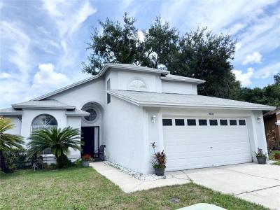 9803 Terrace Trail Lane, Temple Terrace, Florida 33637