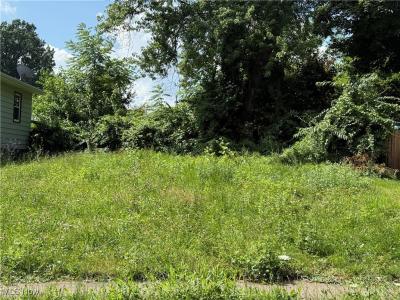1874 Adelaide Boulevard, Akron, 오하이오 44305, 미국