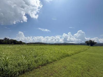 0 River Ridge Drive 24, Dunlap, Tennessee 37327, USA