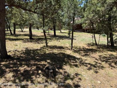 1373 High Mesa Drive, Alto, Novo México 88312, Estados Unidos