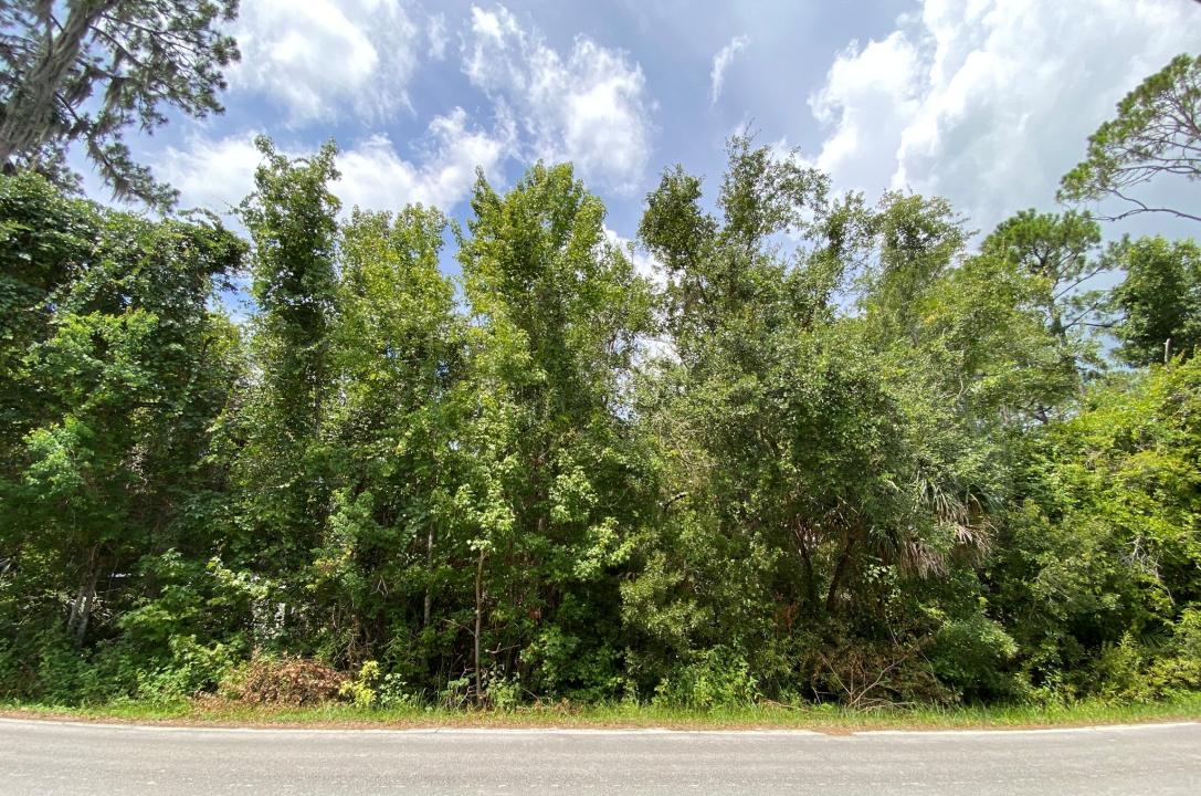 0 US-17 Highway, Crescent City, Floride 32112, États-Unis