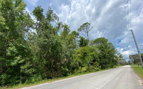 0 US-17 Highway, Crescent City, Floride 32112, États-Unis