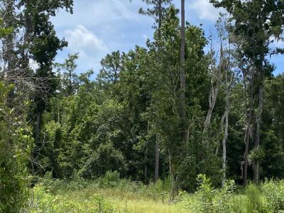 0 US-17 Highway, Crescent City, Floride 32112, États-Unis