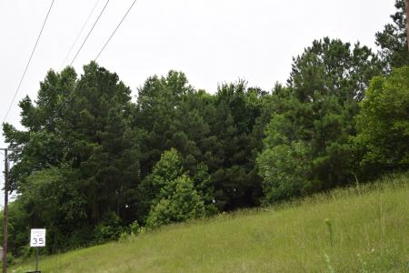 #1 Main, Minden, Louisiana 71055, USA