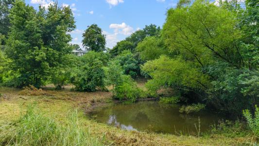 105 Johnson Gap Road, Clinton, Tennessee 37716, USA