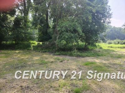 10237 Coldwater, Flushing, Michigan 48433