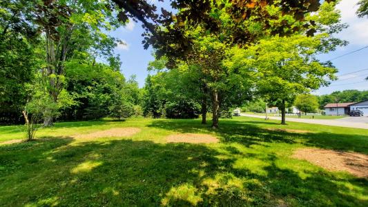 9 ACRES, Third Street, Onekama, ميشيغان 49675, الولايات المتحدة