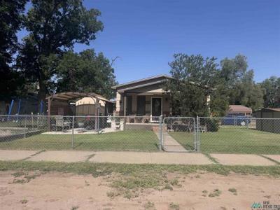 513 N. Guadalupe Street, Carlsbad, 新墨西哥州 88220, 美國