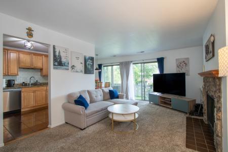 1418 Seven Pines Road , C2, Schaumburg, 伊利諾州 60193, 美國