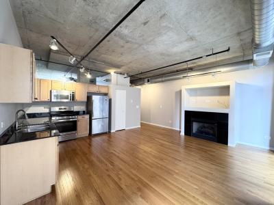 933 W Van Buren Street , 424, Chicago, Illinois 60607, USA