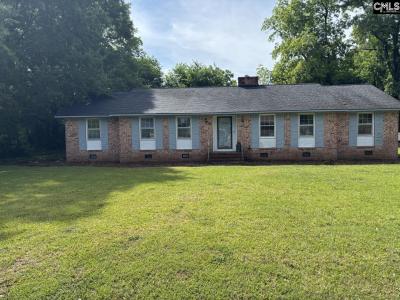 313 S Calhoun Street, Bishopville, SC 29010, USA