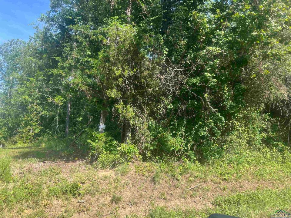 TBD CR 337, Marshall, Texas 75672
