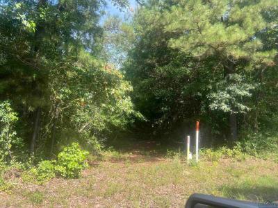 TBD CR 337, Marshall, Texas 75672