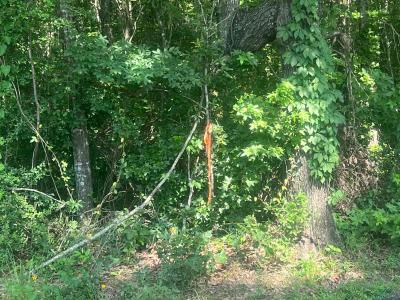 TBD CR 337, Marshall, Texas 75672