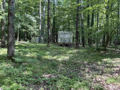 115 W Ridge Circle, Leroy, Michigan 49655, USA