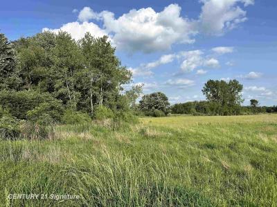 60 Estey, Beaverton, Michigan 48612, États-Unis