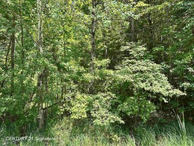 VL Pinconning, Beaverton, Michigan 48612, États-Unis