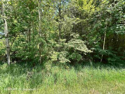 VL Pinconning, Beaverton, Michigan 48612, États-Unis