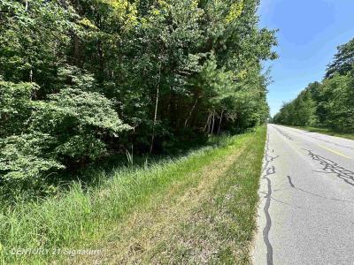 VL Pinconning, Beaverton, Michigan 48612, États-Unis