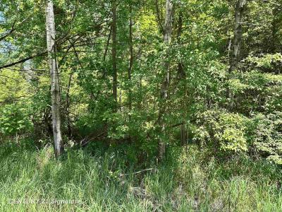 VL Pinconning, Beaverton, Michigan 48612, États-Unis