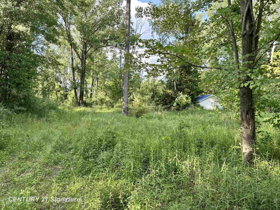 4020 Wieman, Beaverton, Michigan 48612, Estados Unidos