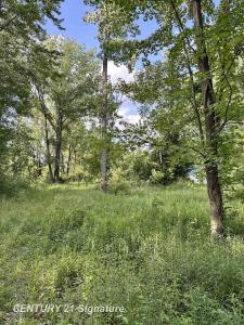 4020 Wieman, Beaverton, Michigan 48612, Estados Unidos