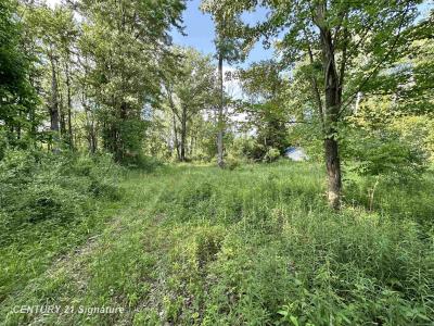 4020 Wieman, Beaverton, Michigan 48612, Estados Unidos