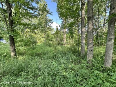 4020 Wieman, Beaverton, Michigan 48612, Estados Unidos