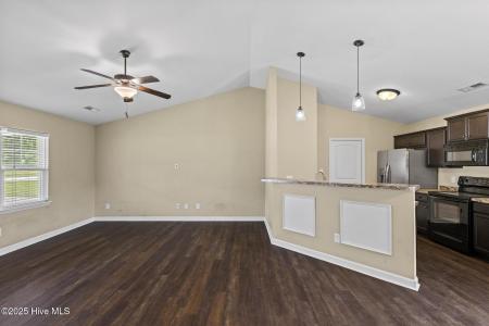 205 Peaceful Lane, Hubert, Caroline Du Nord 28539, États-Unis
