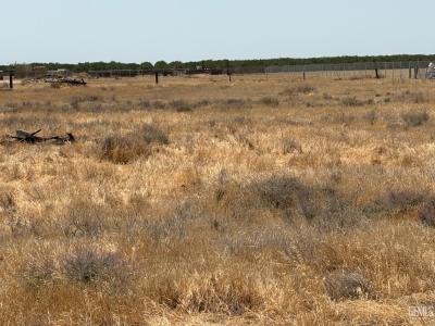 Cecil Ave, Delano, California 93215, USA