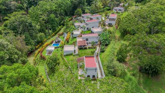 Tres Rios , Tres Ríos Puerto Cortés Osa, Puntarenas 00001, Costa Rica